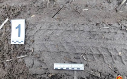 След от автомобиля способствовал раскрытию кражи в Кобринском районе