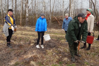 В Беларуси завершилась республиканская акция «Неделя леса»