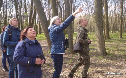 Увлекательное путешествие в мир птиц Кобринского парка имени А. В Суворова