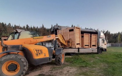 Партию зубров из Беловежской пущи отправили в Костромскую область