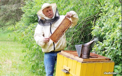 «Повелитель» пчёл из деревни Патрики