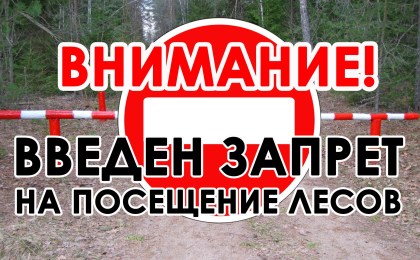 Внимание! Запрет на посещение лесов!