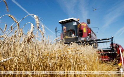 Хозяйства Брестской области планируют закупить 50 зерноуборочных комбайнов