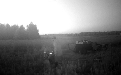 «Приехали на мотоблоке, распиливали и укладывали в прицеп...». Воры дров попали в фотоловушку в Кобринском районе