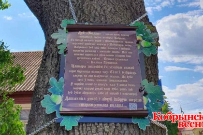 «А то гости в наш Кобрин приедут, а у нас – мусор возле места с историческим прошлым…»