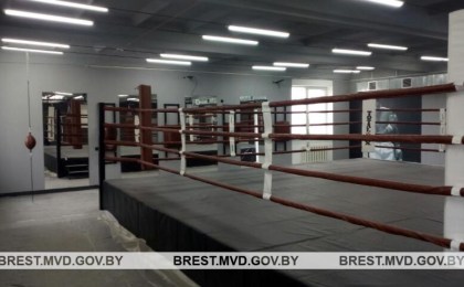 В Кобрине из частного спортзала исчезли 13 боксерских мешков, смесители, раковина и батарея