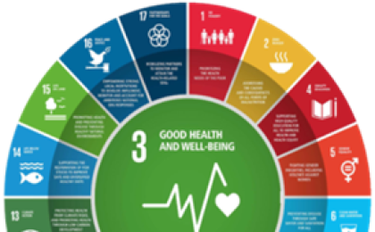 В Кобринском районе реализуется проект «Школа – территория здоровья»