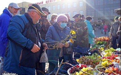 9 октября в Кобрине прошла первая сельскохозяйственная ярмарка
