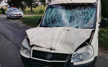 ГАИ разыскивает очевидцев ДТП, которое произошло 12 августа на 9 км автодороги Р-127 «Кобрин – гр. Украины (Дивин)»