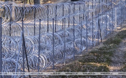 ГПК: европейская пограничная «колючка» убила 5 лосей с начала мая