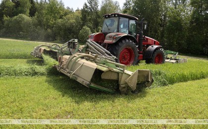 Белорусские аграрии приступили ко второму укосу трав