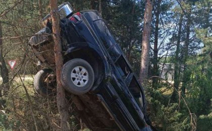 В Кобринском районе автоледи не справилась с управлением, легковушка повисла на дереве