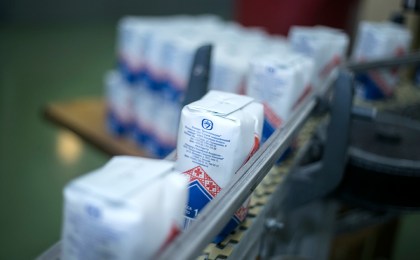 Сахарная лихорадка в Кобрине. В чем дело?