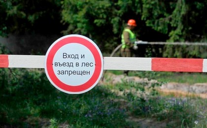 Внимание! На Кобринщине - ограничение на посещение лесов