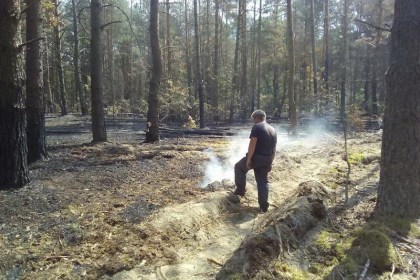 Пожары в лесах и на торфяниках: проще предупредить, чем потушить