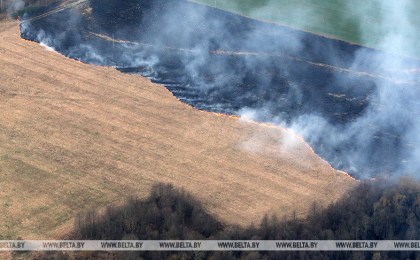 В Брестской области за прошедшие сутки горели два поля с зерновыми