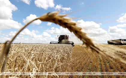 Профилактика хищения имущества в сфере АПК