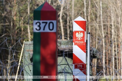 Как в Беларуси будут справляться с последствиями строительства забора в Беловежской пуще