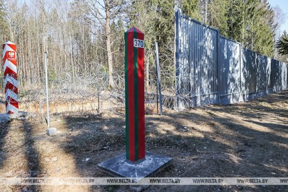 Цена забора в Беловежской пуще. Кого смущает смета на строительство и тренд на экологию в Европе