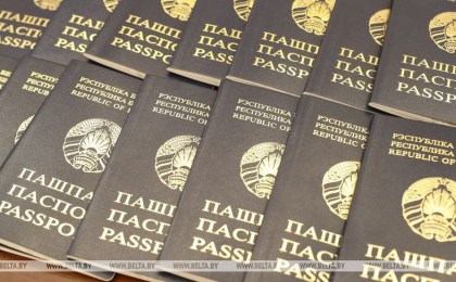 МВД: в этом году рассмотрено 4075 обращений о приеме в белорусское гражданство