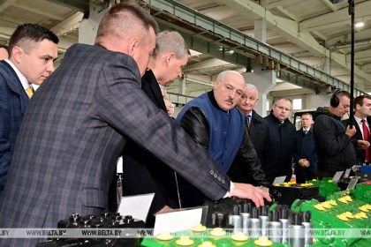 «Главная задача государства». Чем обусловлены жесткие требования Лукашенко в вопросе мелиорации?