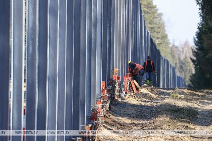 Худык: строительство забора в Беловежской пуще - политизированный проект