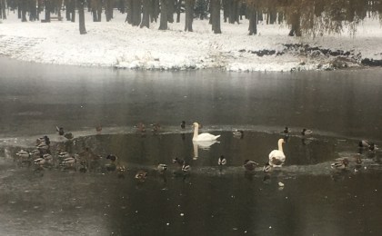 Забота должна быть разумной