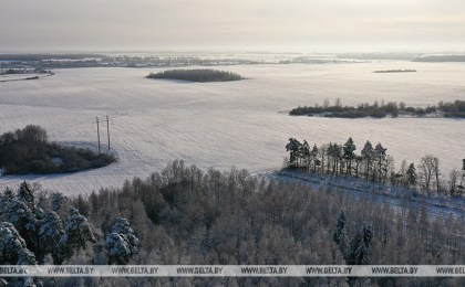 Белгидромет: кратковременное усиление морозов не опасно для озимых культур