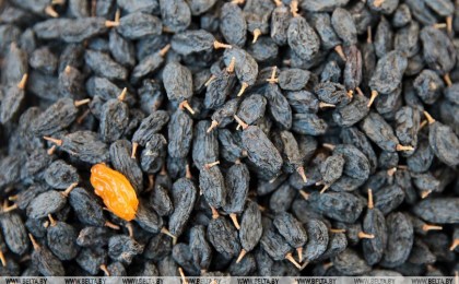 Вкусно и полезно. Какие новые продукты питания разрабатывают белорусские ученые