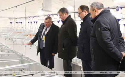 Новый свиноводческий комплекс построили в Пинском районе