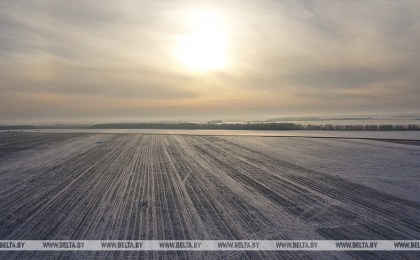 Темпы мелиоративных работ намерены удвоить в Брестской области