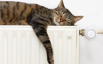 20 градусов – это не «холодно»: какой должна быть температура в квартире?