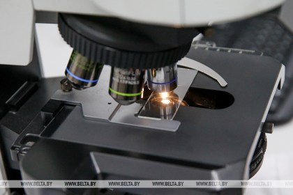 Эксперт: около 90% редких болезней имеют генетическую причину