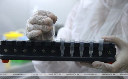 Белорусские и российские ученые намерены создать интраназальную вакцину против туберкулеза