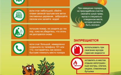 Что делать, если горит сухая трава