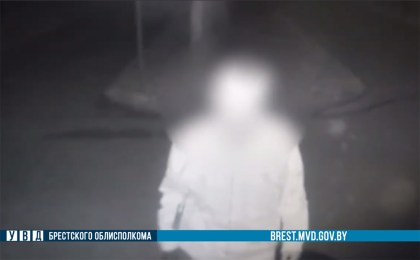 Кобринчанин нунчаками разбил 4 видеокамеры в парке им. Суворова. «Путь самурая» помогли установить записи с камер