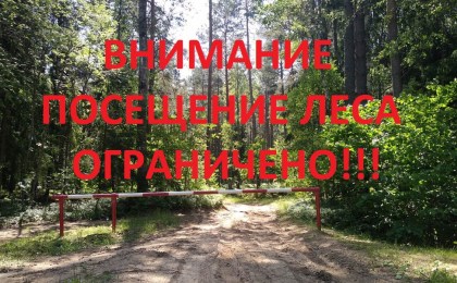 Внимание! С 21 апреля введено ограничение на посещение лесов в Кобринском районе