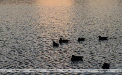 В Беларуси стартовал конкурс по благоустройству поверхностного водного объекта
