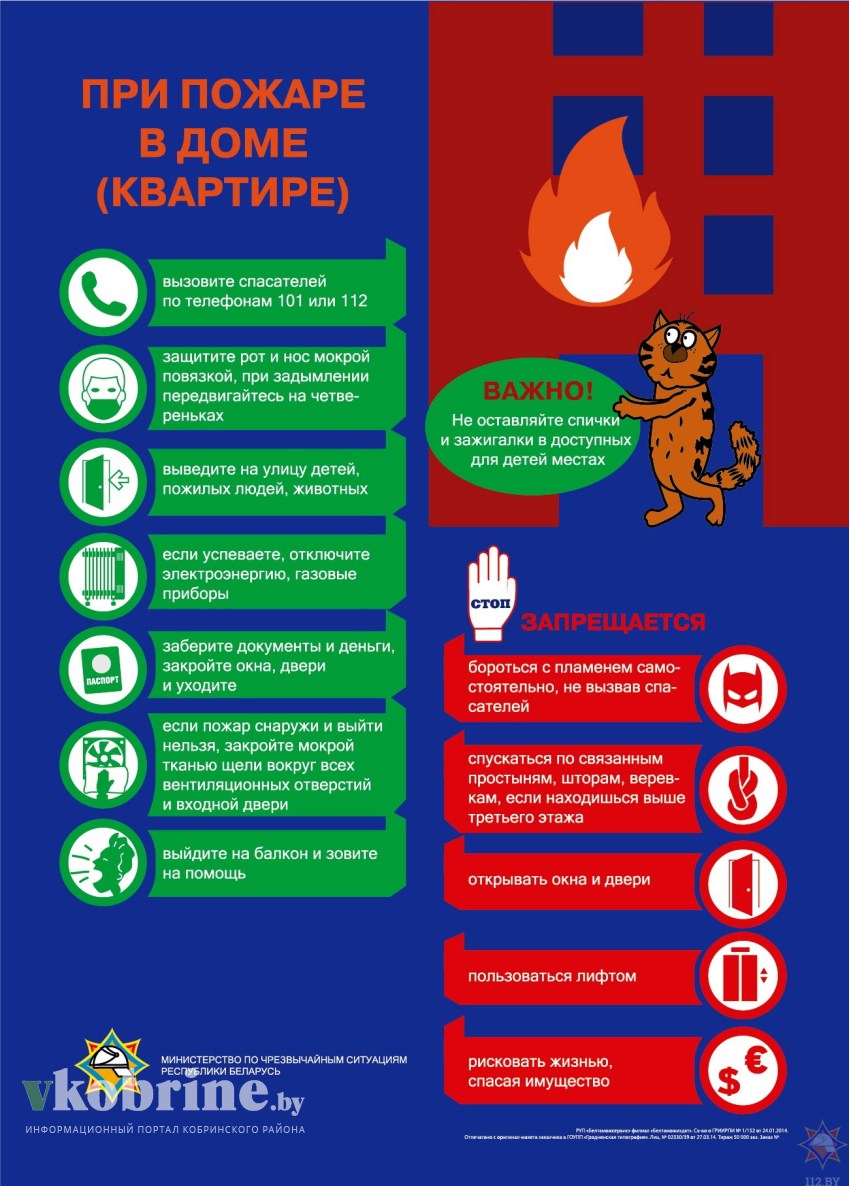 Пожар на кухне: как не допустить и что делать, если избежать не удалось -  Кобринский вестник