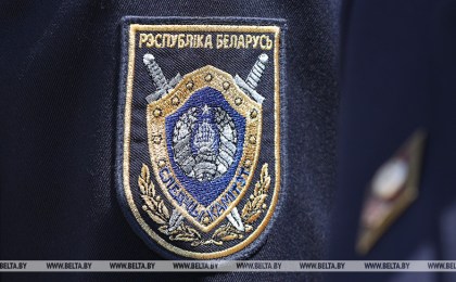 Число мошенничеств в Брестской области за полгода увеличилось почти на треть