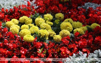 Более Br137 млн вложат в благоустройство населенных пунктов Брестской области в этом году