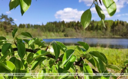 В Минприроды рассказали о новациях в законе «Об охране окружающей среды»
