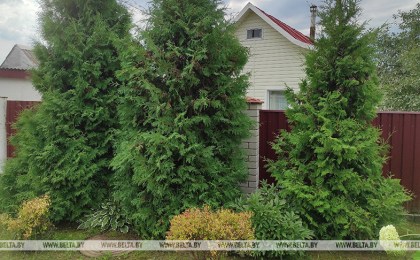 В Беларуси обновлен порядок ведения реестра цен на земельные участки