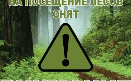 Внимание! Отменен запрет на посещение лесов в Кобринском районе