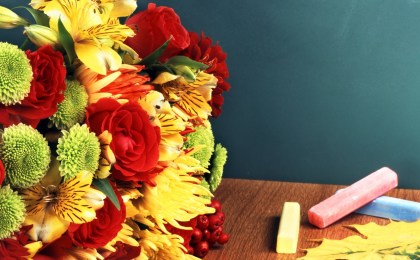 Уважаемые работники сферы образования!