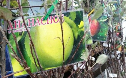 Ярмарки продолжаются