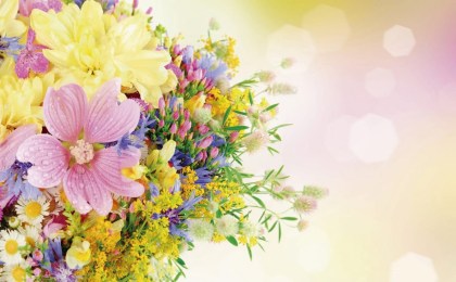 Дорогие соотечественницы! Примите искренние поздравления с Днем матери