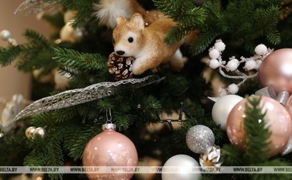 Как защититься от «елочных» мошенников в соцсетях, рассказали в милиции