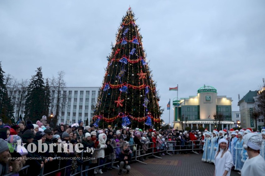 Открытие главной новогодней ёлки Кобрина - на центральной площади города