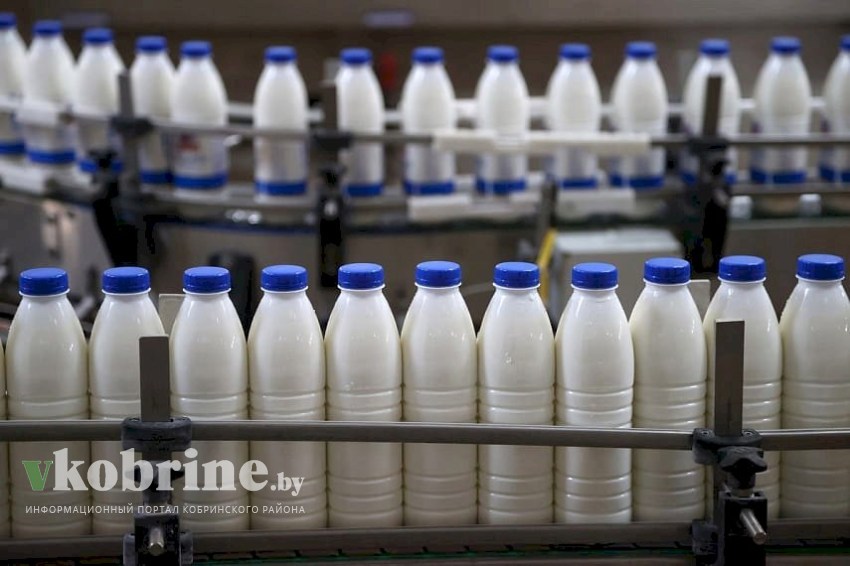 В этом году Брестская область впервые перешагнула рубеж по валовому производству молока в 2 млн тон.